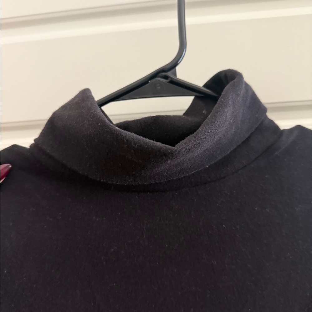 Aritzia Sunday Best Turtleneck